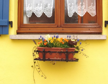 Fenêtre fleurie au gite en alsace